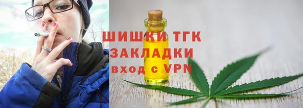 mdpv Инта