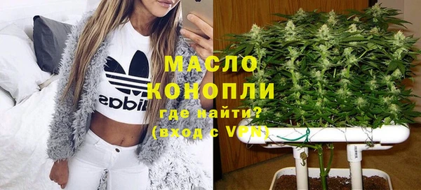 mdpv Инта