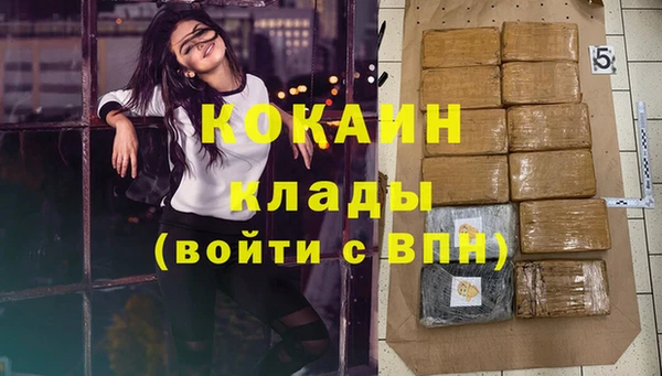 mdpv Инта