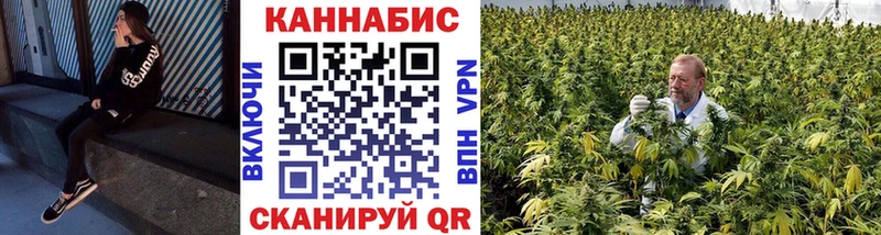 Бошки Шишки OG Kush Кемь